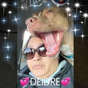 Meet your Posher, Deidre